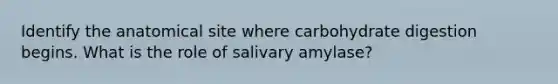 Identify the anatomical site where carbohydrate digestion begins. What is the role of salivary amylase?