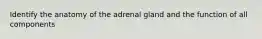 Identify the anatomy of the adrenal gland and the function of all components