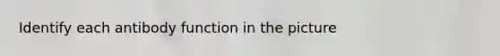 Identify each antibody function in the picture