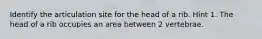 Identify the articulation site for the head of a rib. Hint 1. The head of a rib occupies an area between 2 vertebrae.