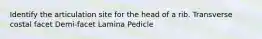 Identify the articulation site for the head of a rib. Transverse costal facet Demi-facet Lamina Pedicle