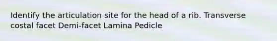 Identify the articulation site for the head of a rib. Transverse costal facet Demi-facet Lamina Pedicle