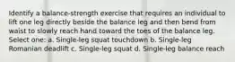 Identify a balance-strength exercise that requires an individual to lift one leg directly beside the balance leg and then bend from waist to slowly reach hand toward the toes of the balance leg. Select one: a. Single-leg squat touchdown b. Single-leg Romanian deadlift c. Single-leg squat d. Single-leg balance reach