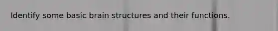 Identify some basic brain structures and their functions.