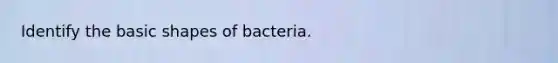 Identify the basic shapes of bacteria.