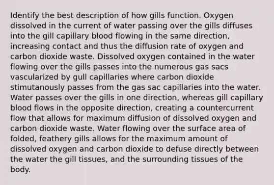 Identify the best description of how gills function. Oxygen dissolved in the current of water passing over the gills diffuses into the gill capillary blood flowing in the same direction, increasing contact and thus the diffusion rate of oxygen and carbon dioxide waste. Dissolved oxygen contained in the water flowing over the gills passes into the numerous gas sacs vascularized by gull capillaries where carbon dioxide stimutanously passes from the gas sac capillaries into the water. Water passes over the gills in one direction, whereas gill capillary blood flows in the opposite direction, creating a countercurrent flow that allows for maximum diffusion of dissolved oxygen and carbon dioxide waste. Water flowing over the surface area of folded, feathery gills allows for the maximum amount of dissolved oxygen and carbon dioxide to defuse directly between the water the gill tissues, and the surrounding tissues of the body.