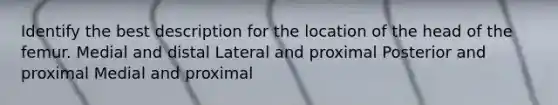 Identify the best description for the location of the head of the femur. Medial and distal Lateral and proximal Posterior and proximal Medial and proximal