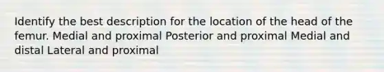 Identify the best description for the location of the head of the femur. Medial and proximal Posterior and proximal Medial and distal Lateral and proximal