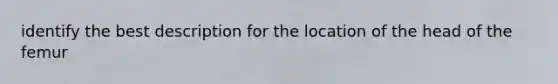 identify the best description for the location of the head of the femur
