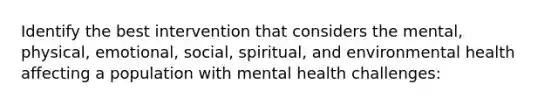 Identify the best intervention that considers the mental, physical, emotional, social, spiritual, and environmental health affecting a population with mental health challenges: