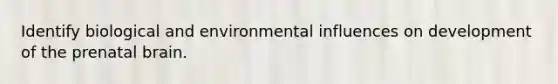 Identify biological and environmental influences on development of the prenatal brain.