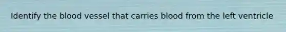 Identify the blood vessel that carries blood from the left ventricle