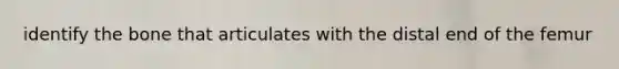 identify the bone that articulates with the distal end of the femur