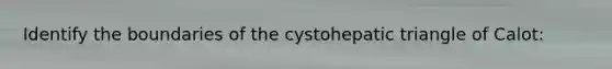 Identify the boundaries of the cystohepatic triangle of Calot: