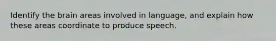 Identify the brain areas involved in language, and explain how these areas coordinate to produce speech.