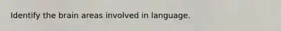 Identify the brain areas involved in language.