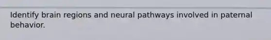 Identify brain regions and neural pathways involved in paternal behavior.