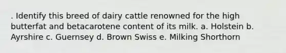 . Identify this breed of dairy cattle renowned for the high butterfat and betacarotene content of its milk. a. Holstein b. Ayrshire c. Guernsey d. Brown Swiss e. Milking Shorthorn