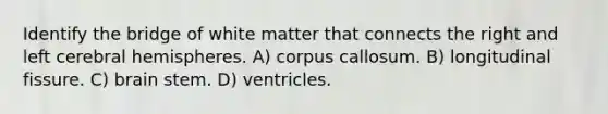 Identify the bridge of white matter that connects the right and left cerebral hemispheres. A) corpus callosum. B) longitudinal fissure. C) brain stem. D) ventricles.
