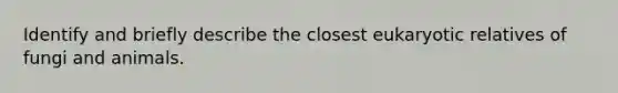 Identify and briefly describe the closest eukaryotic relatives of fungi and animals.