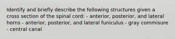 Identify and briefly describe the following structures given a cross section of the spinal cord: - anterior, posterior, and lateral horns - anterior, posterior, and lateral funiculus - gray commisure - central canal