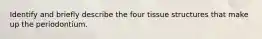 Identify and briefly describe the four tissue structures that make up the periodontium.