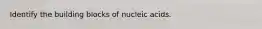 Identify the building blocks of nucleic acids.