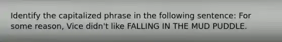 Identify the capitalized phrase in the following sentence: For some reason, Vice didn't like FALLING IN THE MUD PUDDLE.