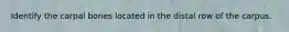 Identify the carpal bones located in the distal row of the carpus.