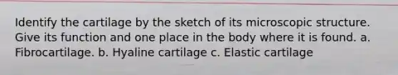 Identify the cartilage by the sketch of its microscopic structure. Give its function and one place in the body where it is found. a. Fibrocartilage. b. Hyaline cartilage c. Elastic cartilage