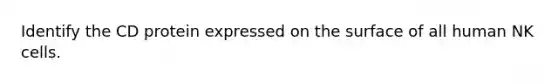Identify the CD protein expressed on the surface of all human NK cells.