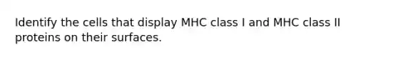 Identify the cells that display MHC class I and MHC class II proteins on their surfaces.