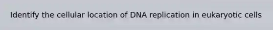 Identify the cellular location of DNA replication in eukaryotic cells