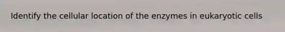 Identify the cellular location of the enzymes in eukaryotic cells