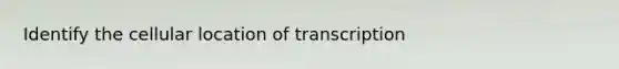 Identify the cellular location of transcription