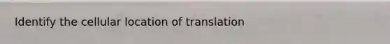 Identify the cellular location of translation