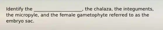 Identify the _____________________, the chalaza, the integuments, the micropyle, and the female gametophyte referred to as the embryo sac.