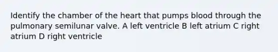 Identify the chamber of the heart that pumps blood through the pulmonary semilunar valve. A left ventricle B left atrium C right atrium D right ventricle