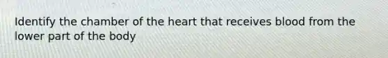 Identify the chamber of the heart that receives blood from the lower part of the body