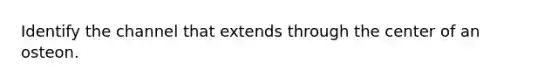 Identify the channel that extends through the center of an osteon.
