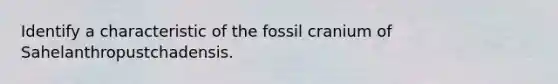 Identify a characteristic of the fossil cranium of Sahelanthropustchadensis.