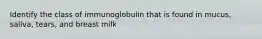 Identify the class of immunoglobulin that is found in mucus, saliva, tears, and breast milk