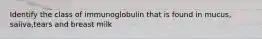 Identify the class of immunoglobulin that is found in mucus, saliva,tears and breast milk