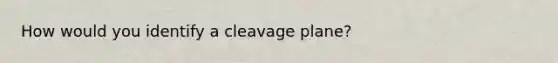 How would you identify a cleavage plane?