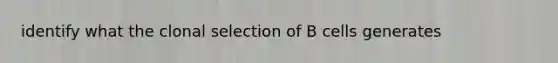 identify what the clonal selection of B cells generates