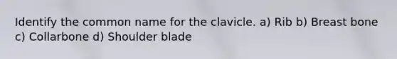 Identify the common name for the clavicle. a) Rib b) Breast bone c) Collarbone d) Shoulder blade