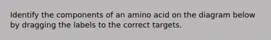 Identify the components of an amino acid on the diagram below by dragging the labels to the correct targets.