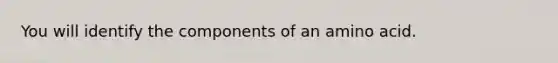 You will identify the components of an amino acid.