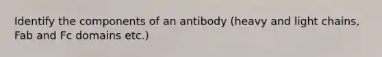 Identify the components of an antibody (heavy and light chains, Fab and Fc domains etc.)