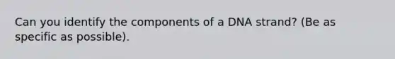 Can you identify the components of a DNA strand? (Be as specific as possible).